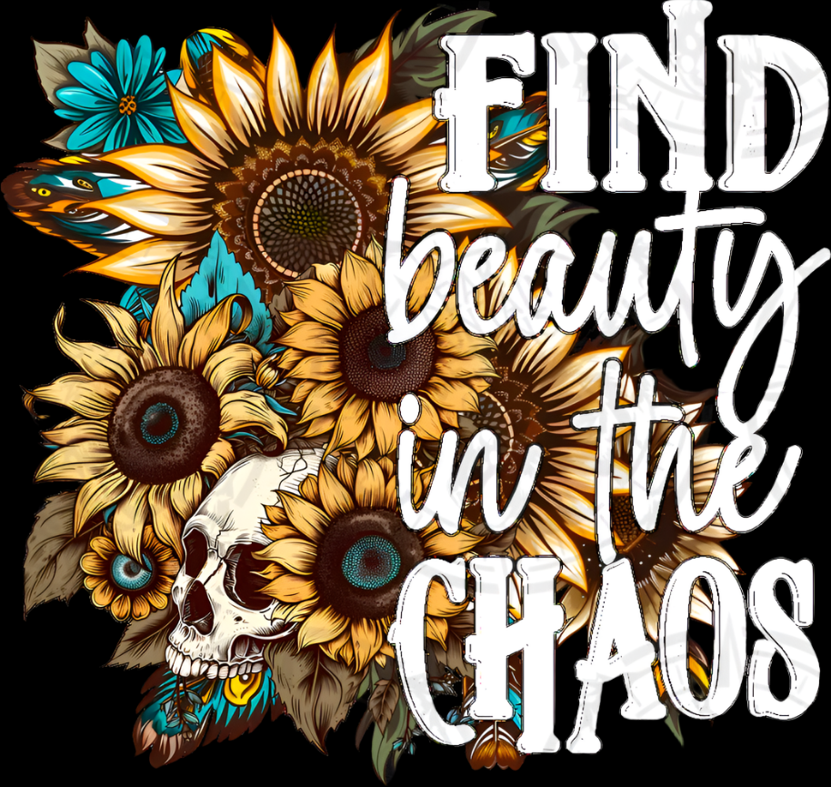 Find Beauty In The Chaos