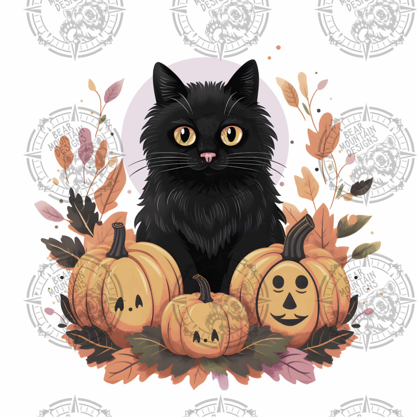 Black Cat & Pumpkins