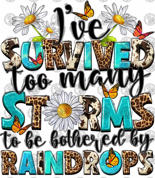 I’ve Survived Too Many Storms