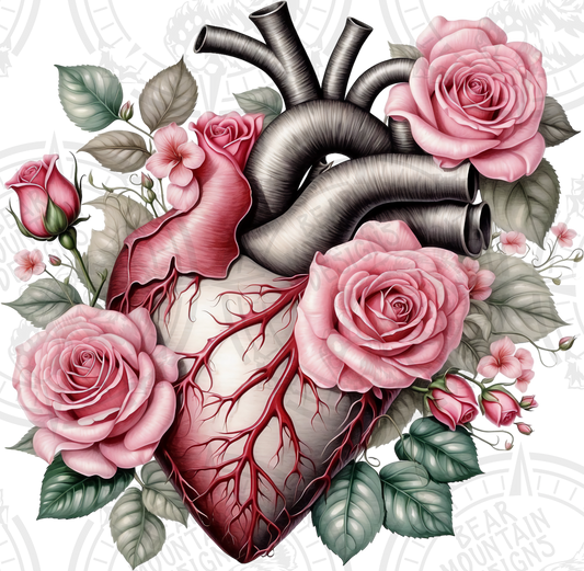 Anatomical Heart 1