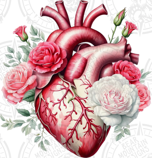 Anatomical Heart 12