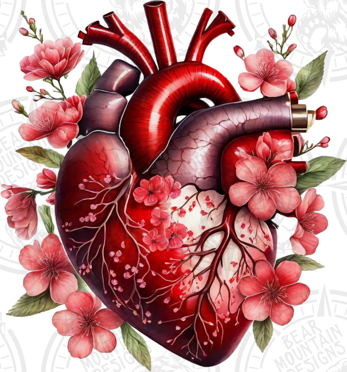 Anatomical Heart 14