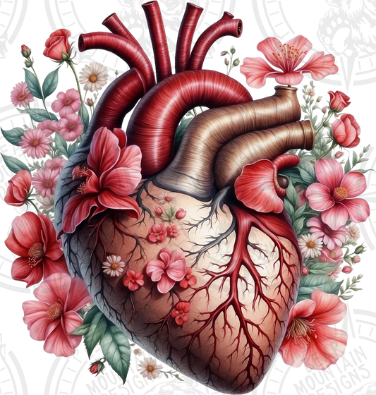 Anatomical Heart 15