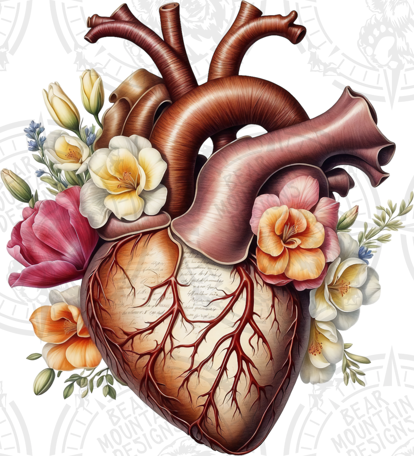 Anatomical Heart 17