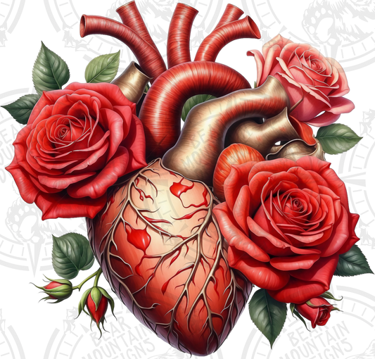 Anatomical Heart 2