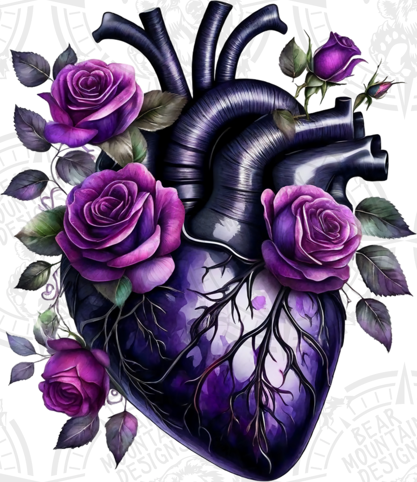 Anatomical Heart 5