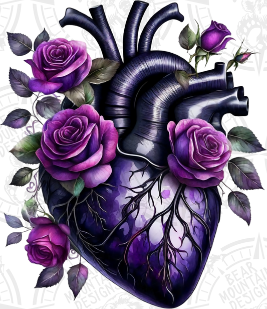 Anatomical Heart 5