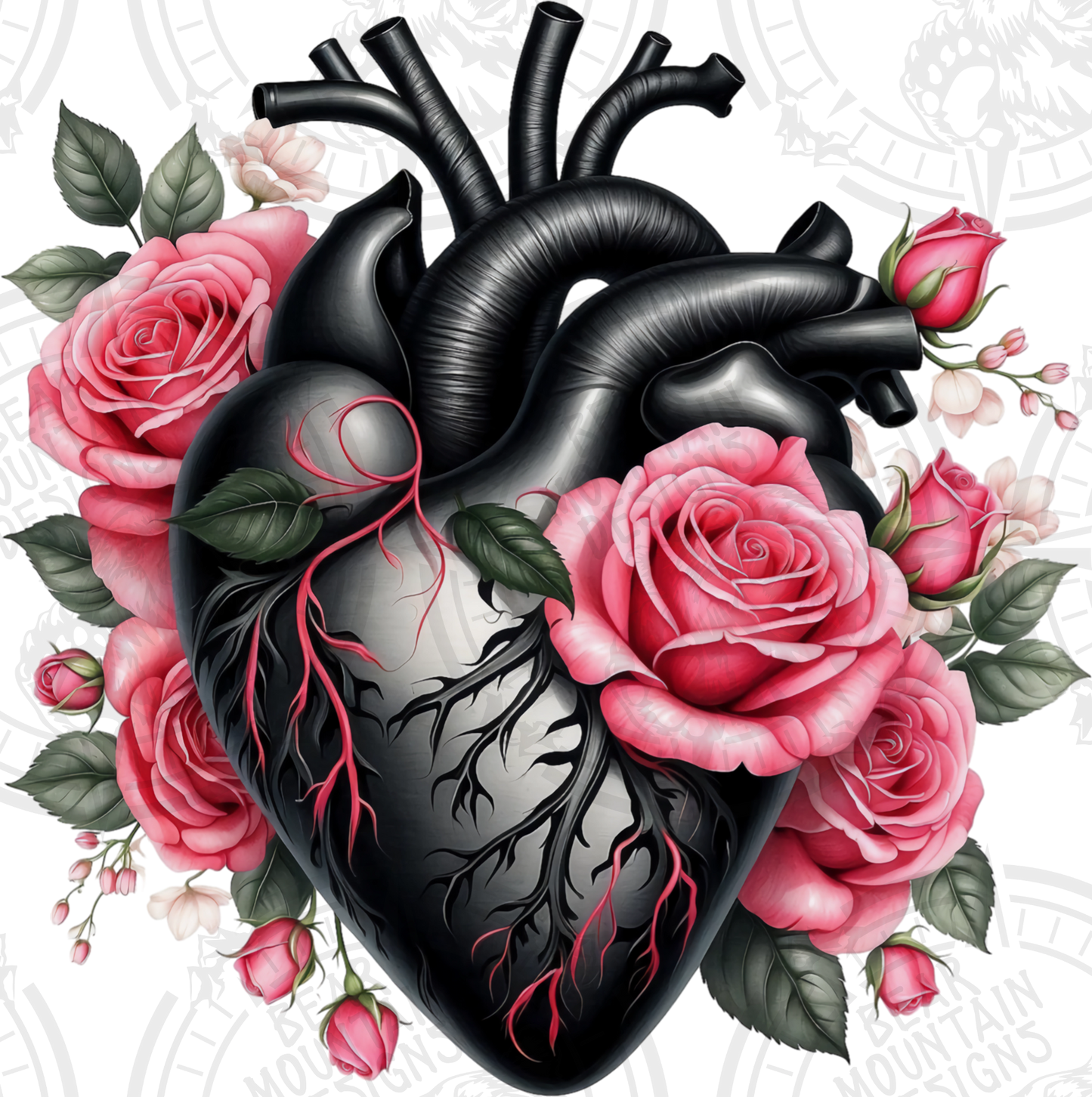 Anatomical Heart 7