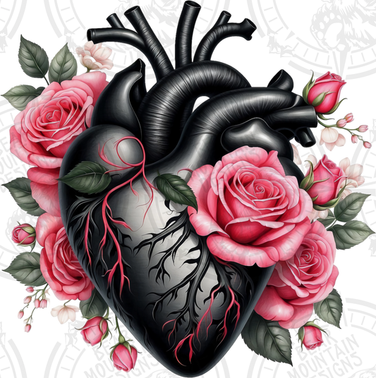 Anatomical Heart 7