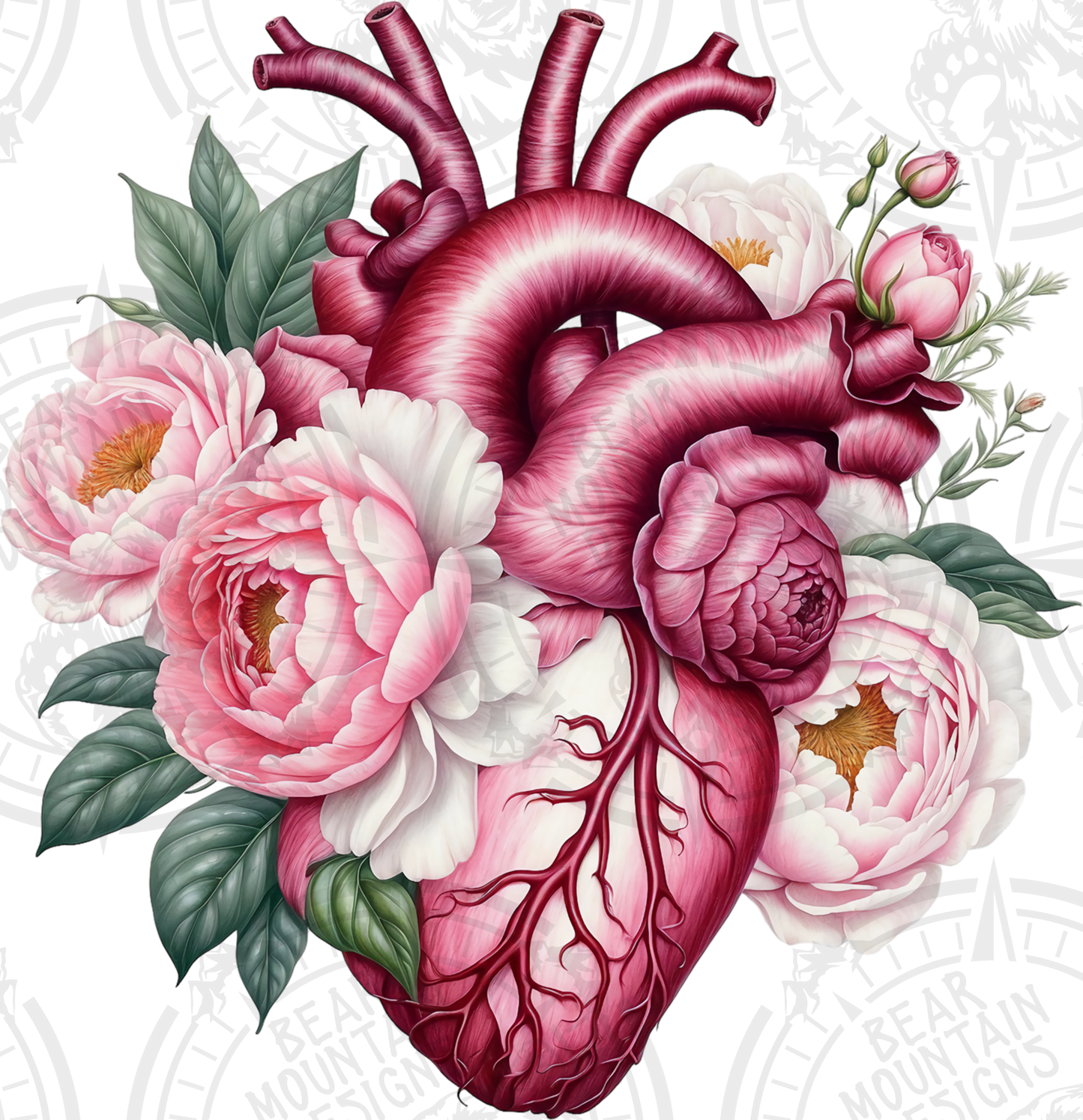 Anatomical Heart 8