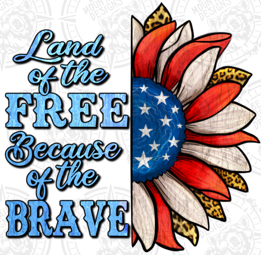 Land Of The Free Because Of The Brave 1