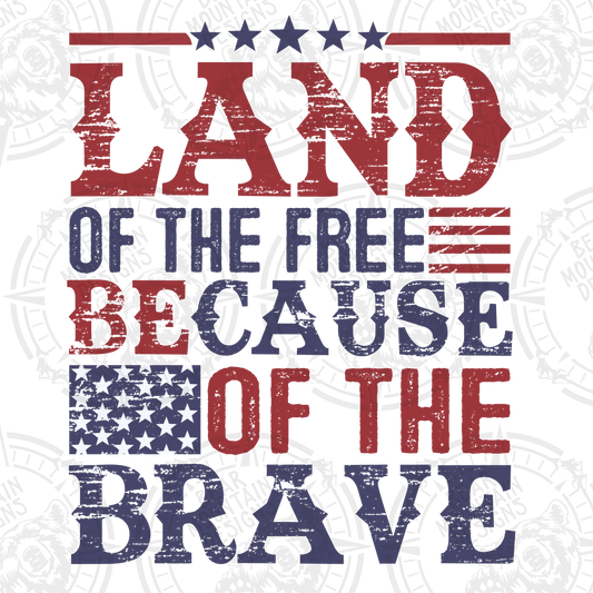 Land Of The Free Because Of The Brave 2