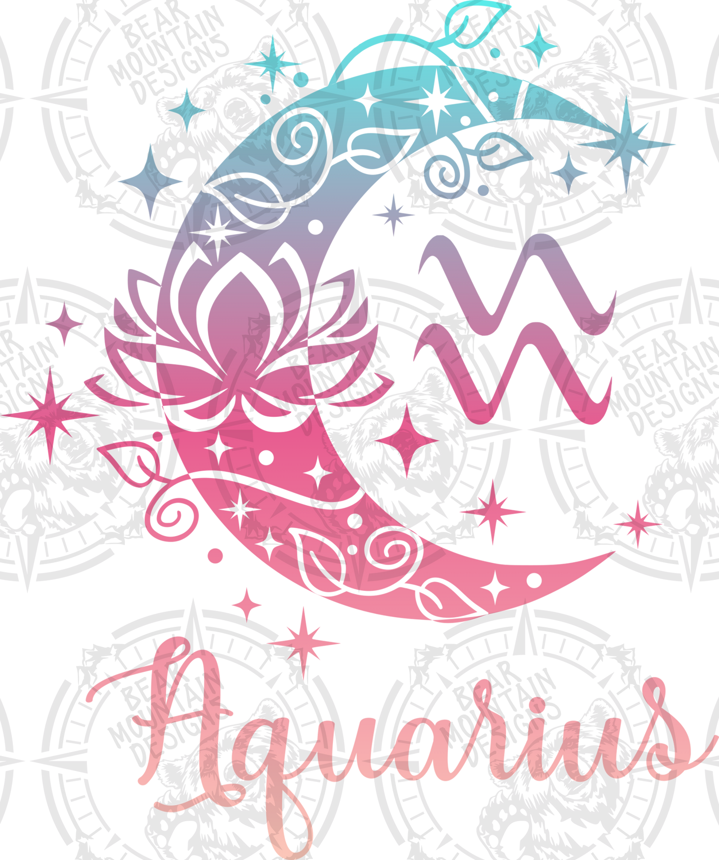 Aquarius - 17