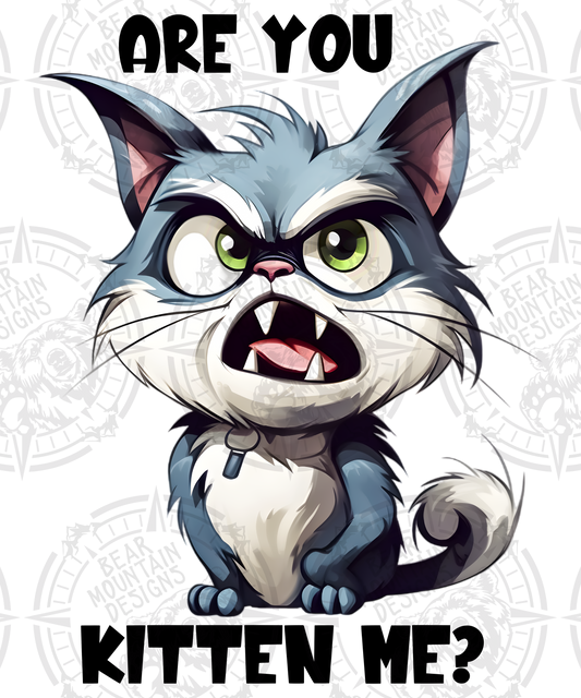 Are You Kittin Me - Grumpy Cat