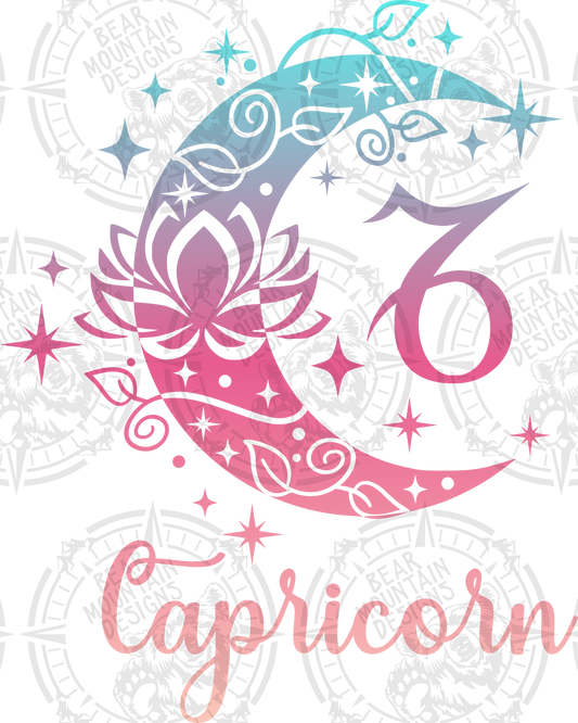 Capricorn - 16