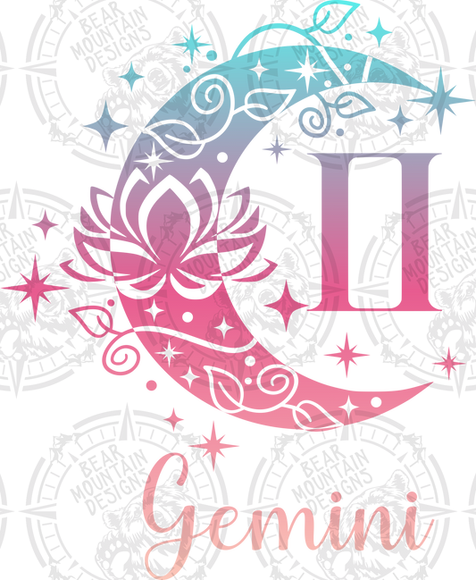Gemini - 17