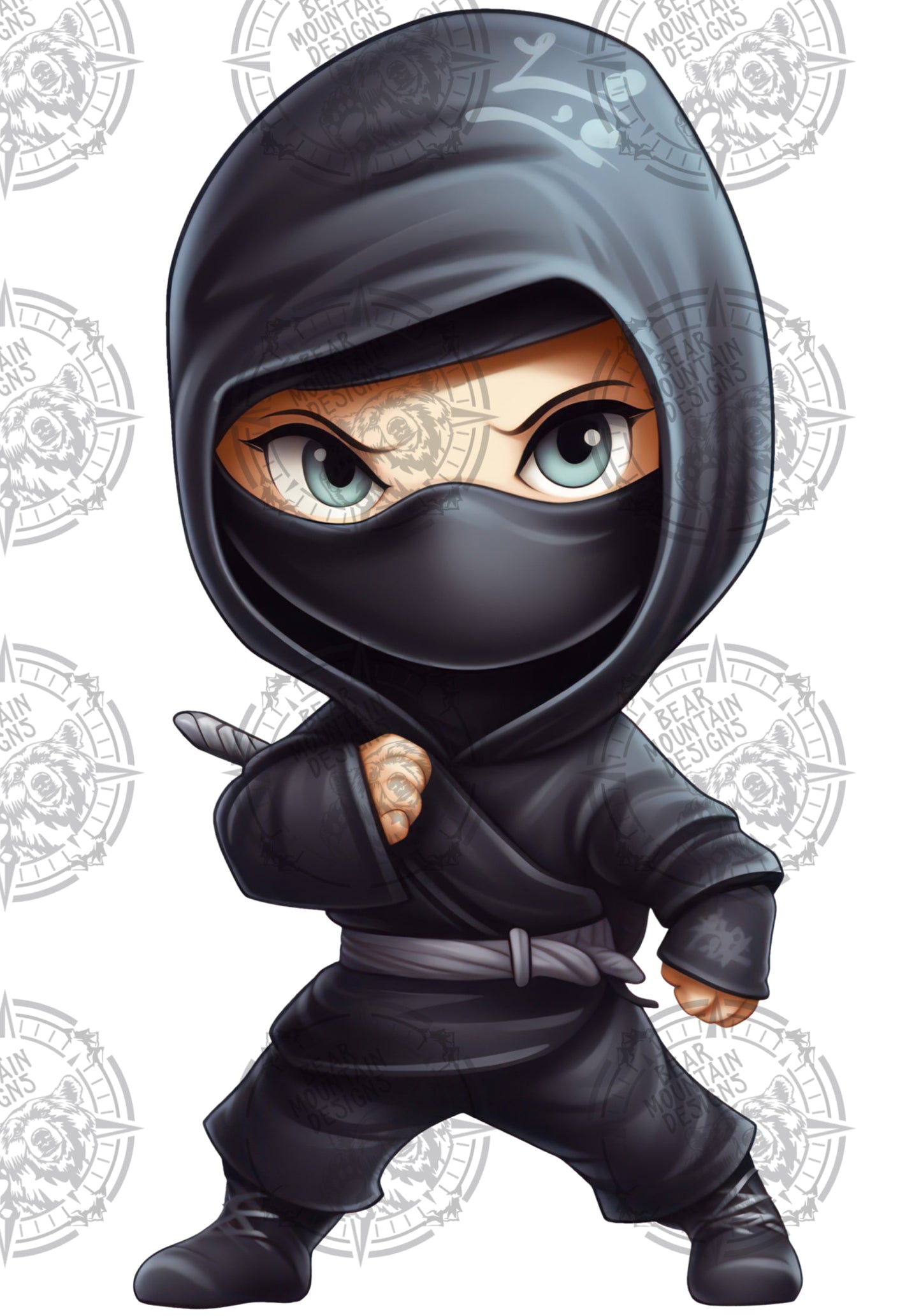 Ninja 11