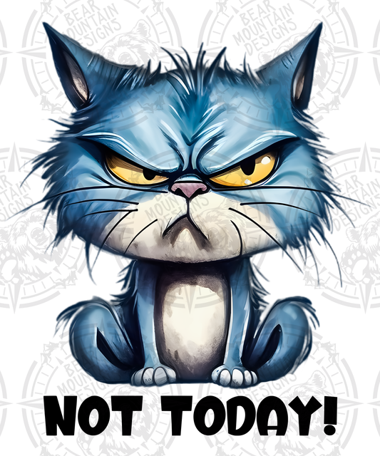 Not Today - Grumpy Cat