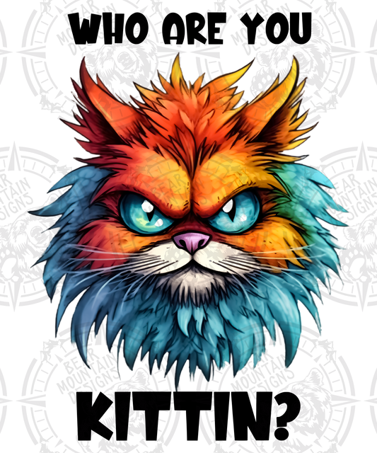 Who Are You Kittin - Grumpy Cat